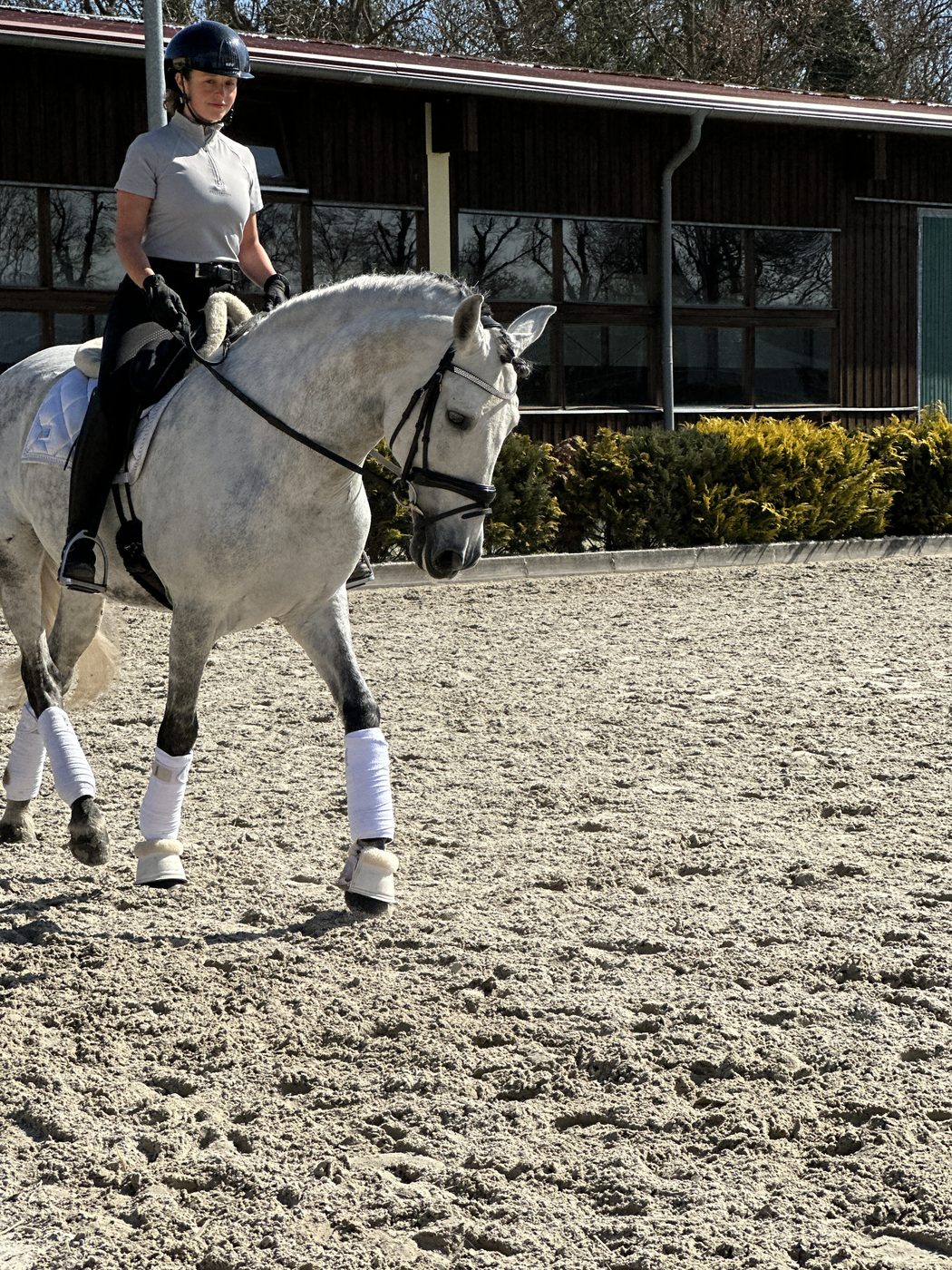 PEAQ-Performance-Reiterin mit Schimmel im Freien